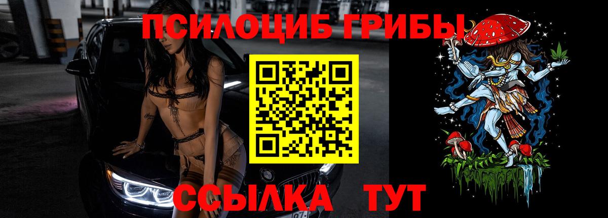 Псилоцибиновые грибы Psilocybe  Вход с VPN  Янаул 